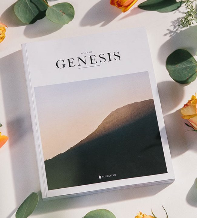 genesis-book genesis-book