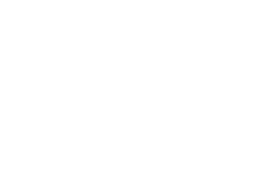 servicios-traduccion-barcelona-lletra-viva-clientes-cumio