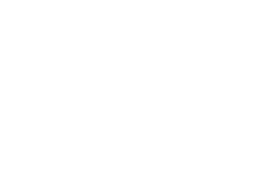 servicios-traduccion-barcelona-lletra-viva-clientes-idiao-jordi-gol