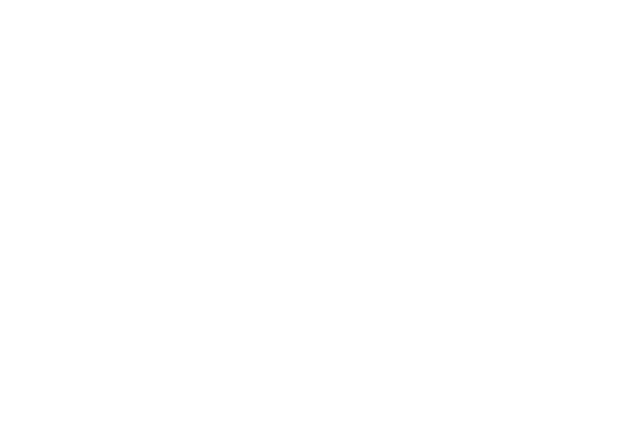 servicios-traduccion-barcelona-lletra-viva-clientes-tdt-media