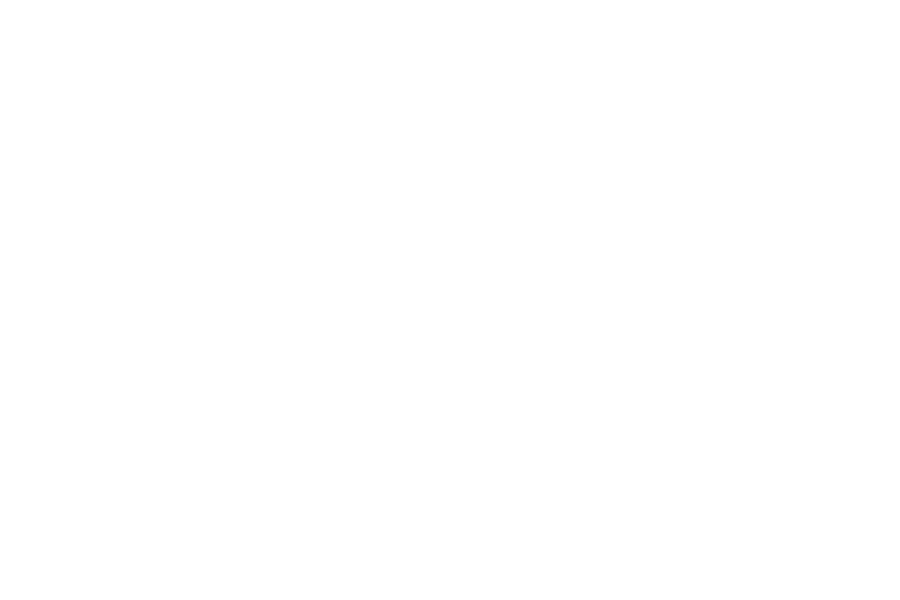 servicios-traduccion-barcelona-lletra-viva-clientes-universitat-de-barcelona